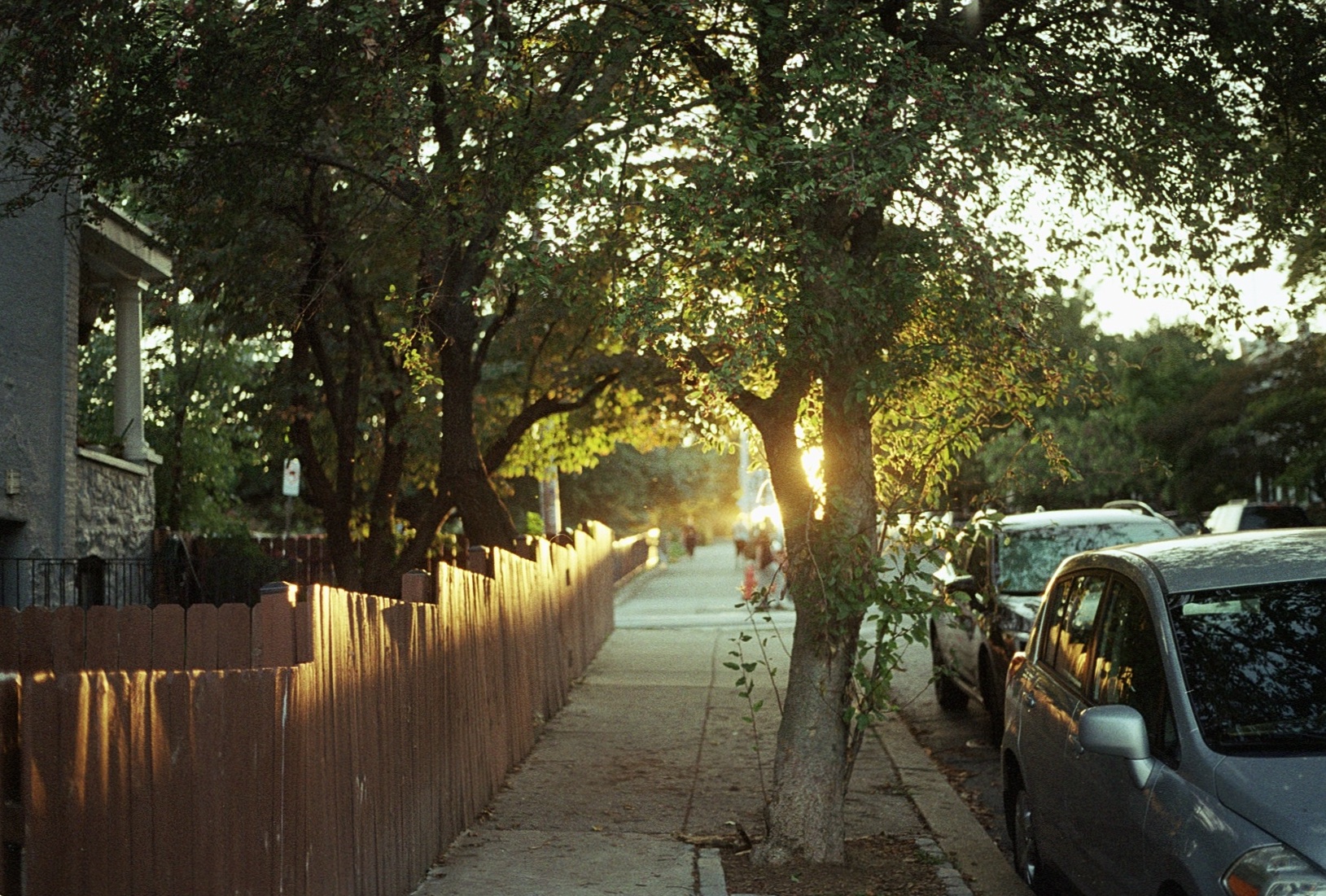 Sunset light in Hampden