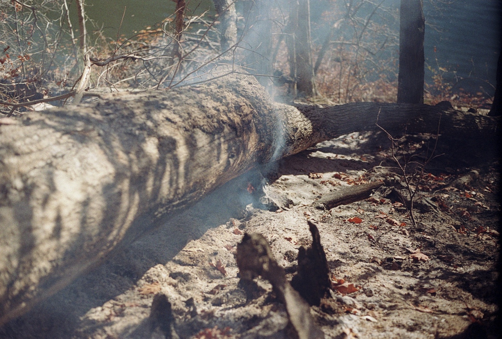 Smoldering log