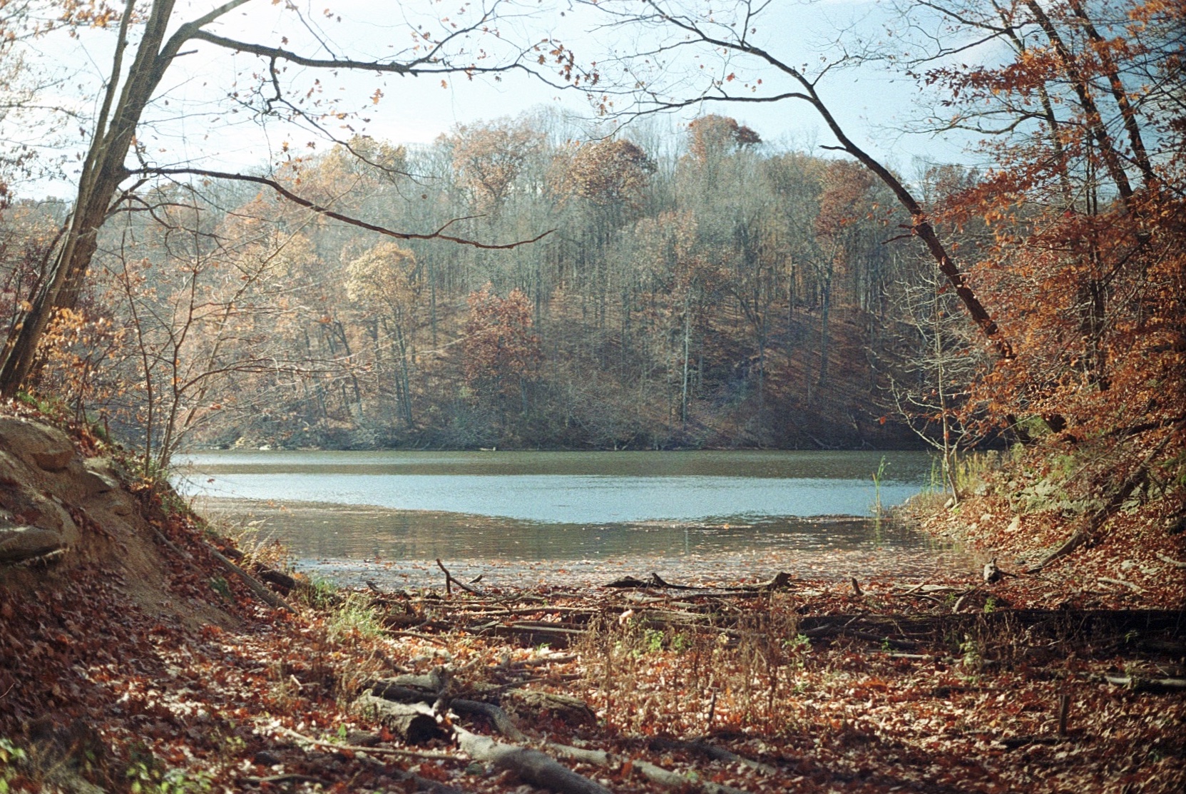 Lake and leaves