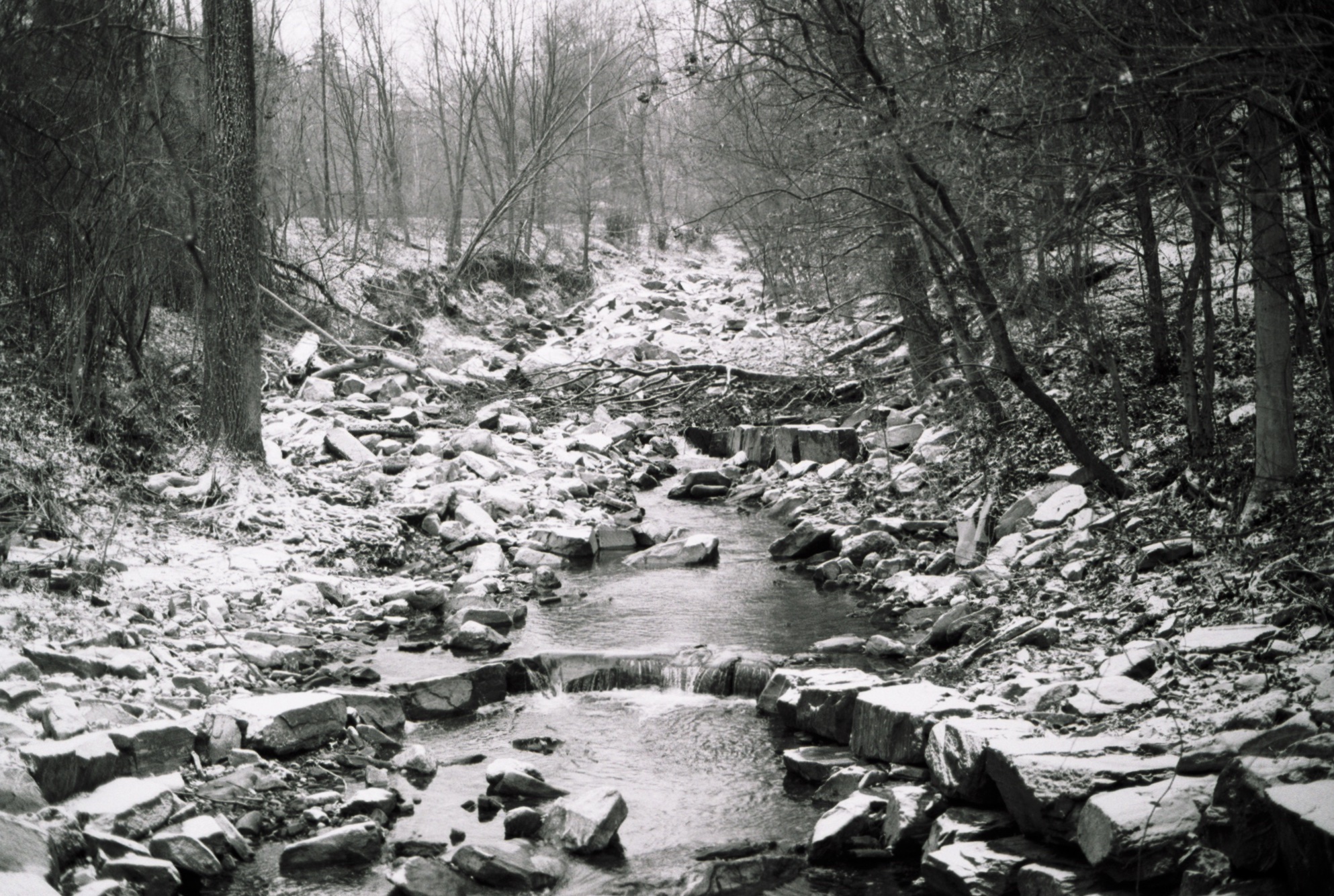 Snowy stream